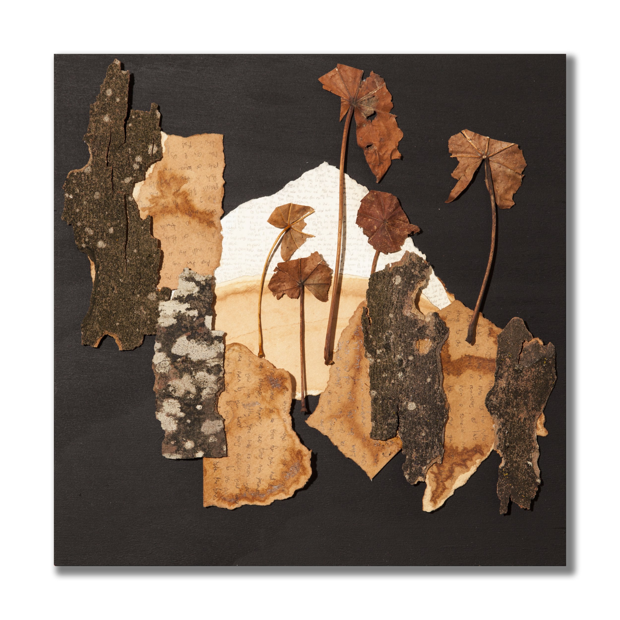 Listening from the ground — zuzanavasko.com
